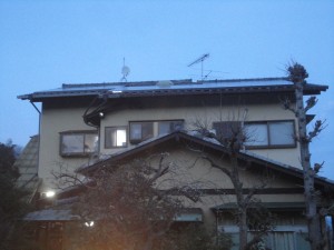 DSC05081